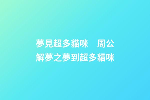 夢見超多貓咪　周公解夢之夢到超多貓咪